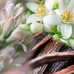 Французские духи женские Гепарлис, Джохан би, Вельвет диамонд