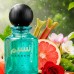 Арабские свежие духи Насим, Фруктовый, неотразимый аромат