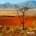 духи memo african leather (копия) tester 75 ml
