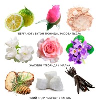 Солинотес Котон, Французские духи, Оригинал
