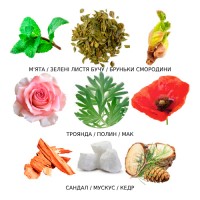 Французькі парфуми: Herbe Zen-Solinotes, Рослинний свіжий аромат