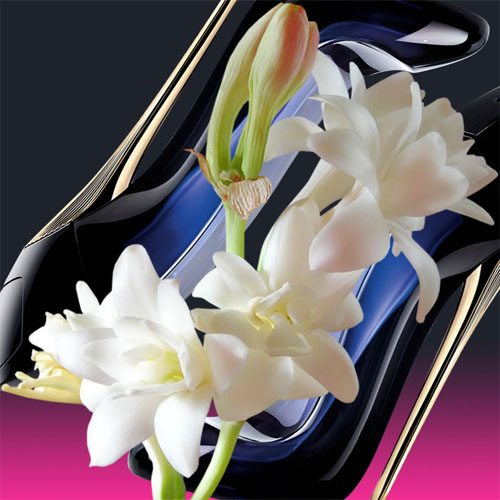 Good Girl Carolina Herrera: бюджетные аналоги от 10th Avenue Good Girl Carolina Herrera: бюджетные аналоги от 10th Avenue