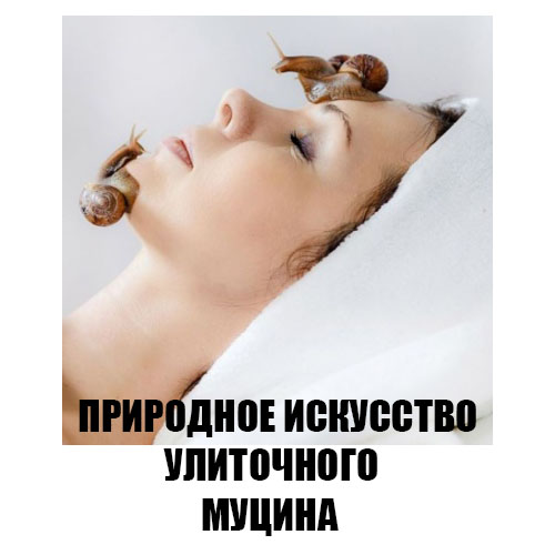 Природное искусство улиточного муцина Природное искусство улиточного муцина