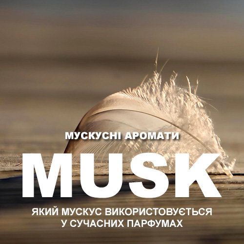 Мускусные духи: какой мускус используется в современных ароматах Мускусные духи: какой мускус используется в современных ароматах