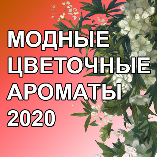 Польская парфюмерия: Модные женские ароматы Польская парфюмерия: Модные женские ароматы