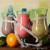 Протеиновые коктейли Foht Diet